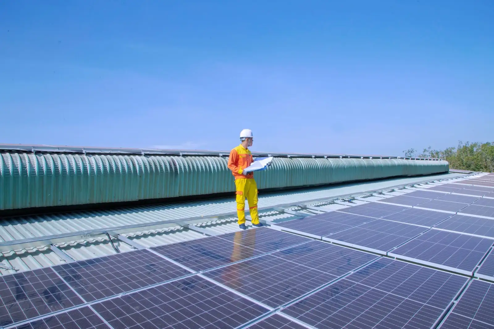 2024年家用血氧仪与体温枪技术升级趋势分析